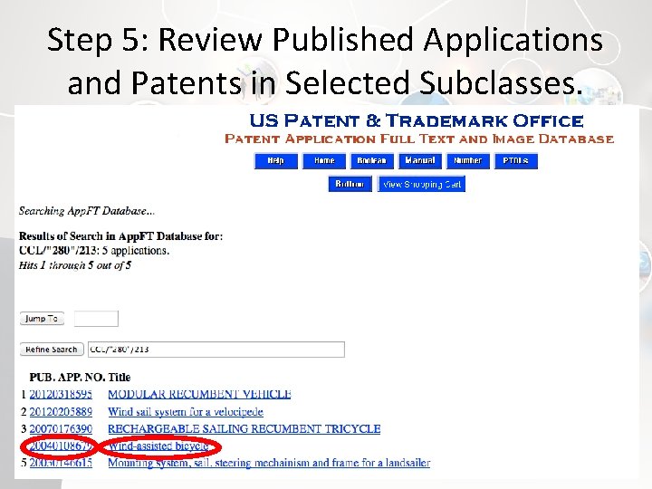 Step 5: Review Published Applications and Patents in Selected Subclasses. 