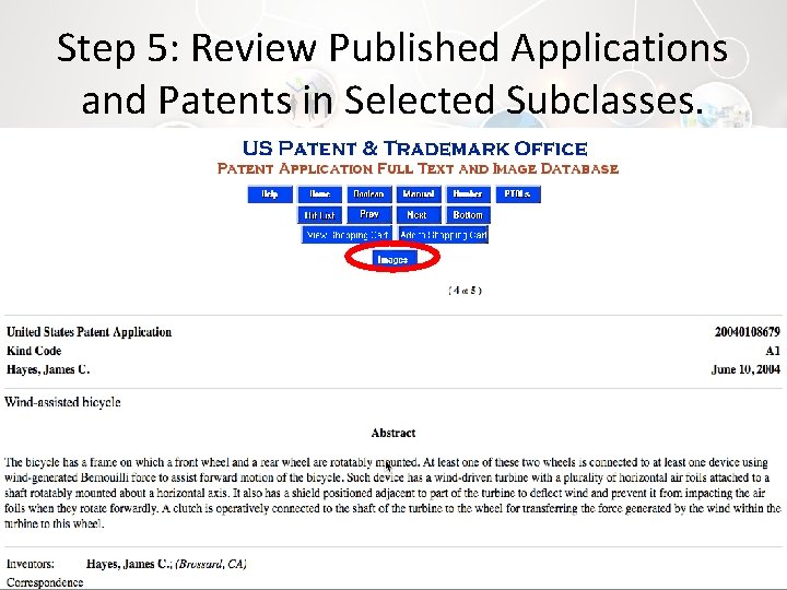 Step 5: Review Published Applications and Patents in Selected Subclasses. 