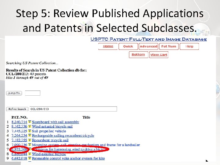 Step 5: Review Published Applications and Patents in Selected Subclasses. 