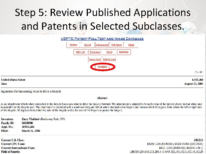 Step 5: Review Published Applications and Patents in Selected Subclasses. 