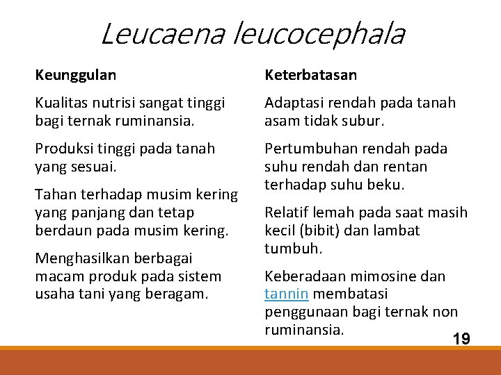 Leucaena leucocephala Keunggulan Keterbatasan Kualitas nutrisi sangat tinggi bagi ternak ruminansia. Adaptasi rendah pada