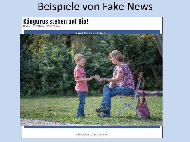 Beispiele von Fake News 