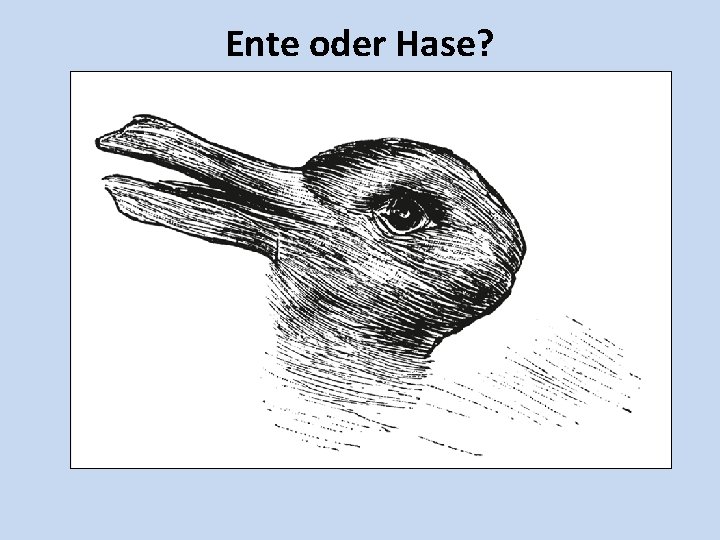 Ente oder Hase? 