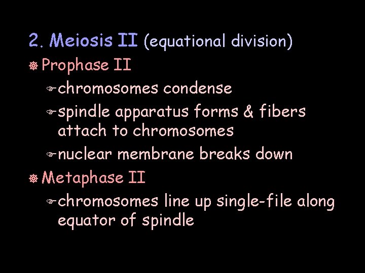 2. Meiosis II (equational division) ] Prophase II F chromosomes condense F spindle apparatus