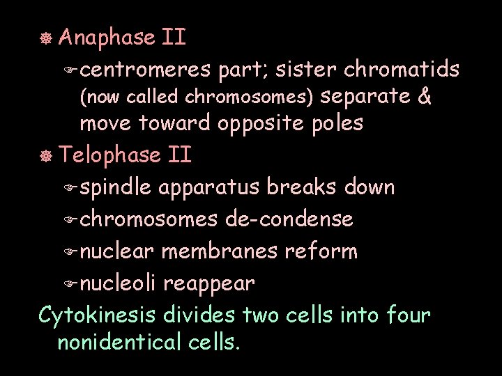 ] Anaphase II F centromeres part; sister chromatids (now called chromosomes) separate & move