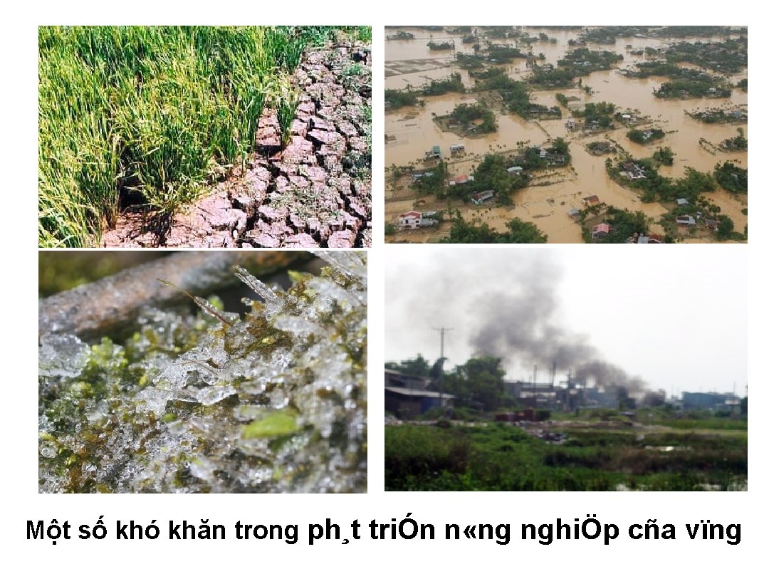 Một số khó khăn trong ph¸t triÓn n «ng nghiÖp cña vïng 