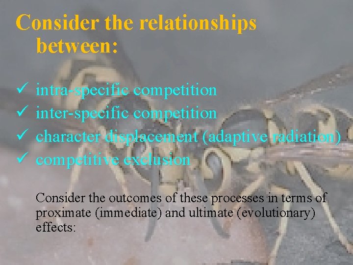 Consider the relationships between: ü ü intra-specific competition inter-specific competition character displacement (adaptive radiation)