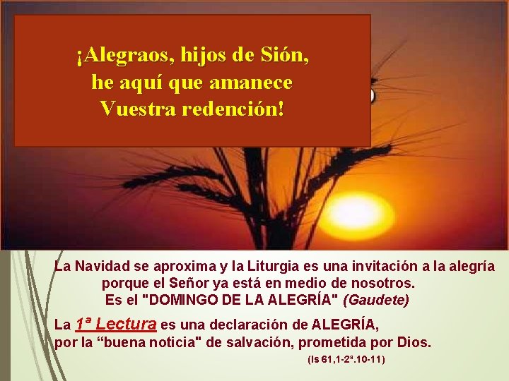 ¡Alegraos, hijos de Sión, he aquí que amanece Vuestra redención! La Navidad se aproxima