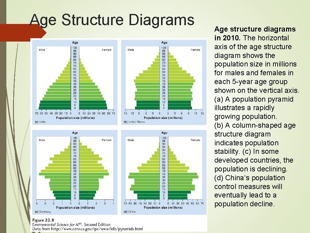 Age Structure Diagrams Age structure diagrams in 2010. The horizontal axis of the age