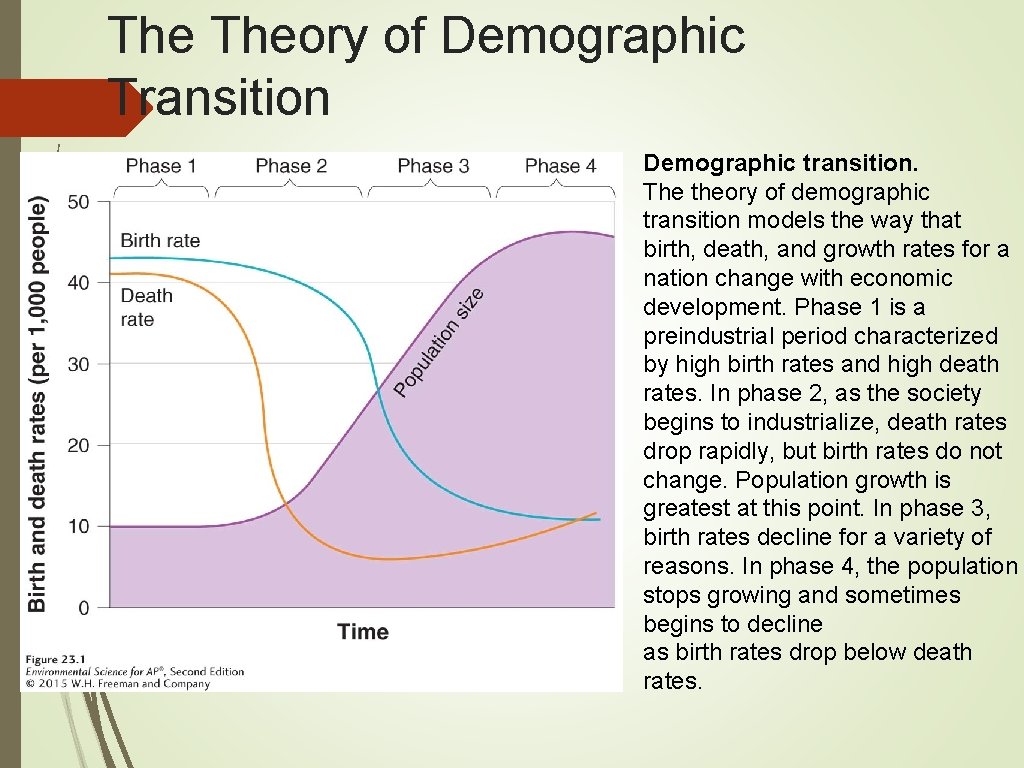 The Theory of Demographic Transition Demographic transition. The theory of demographic transition models the
