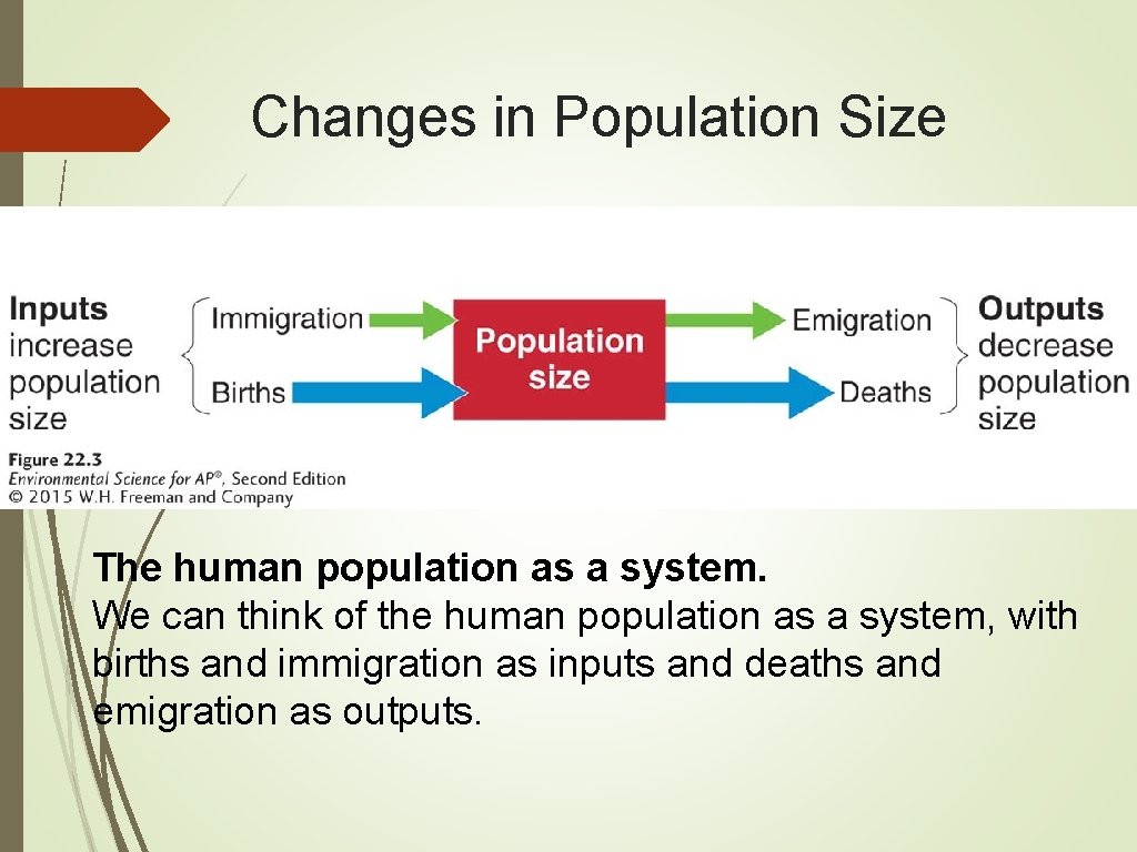 Changes in Population Size The human population as a system. We can think of
