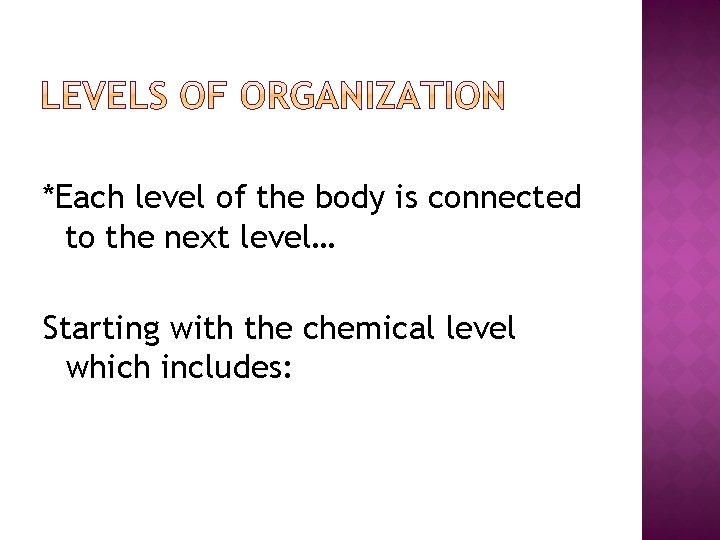 *Each level of the body is connected to the next level… Starting with the