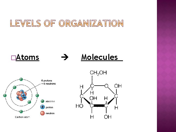 �Atoms Molecules 