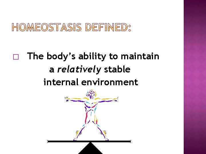 � The body’s ability to maintain a relatively stable internal environment 