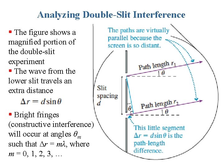 Analyzing Double-Slit Interference § The figure shows a magnified portion of the double-slit experiment