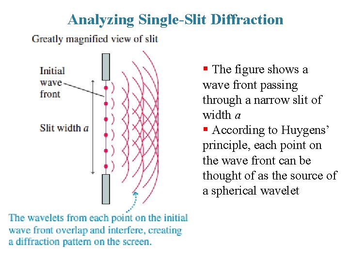 Analyzing Single-Slit Diffraction § The figure shows a wave front passing through a narrow