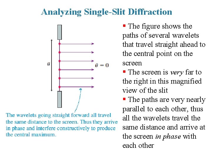 Analyzing Single-Slit Diffraction § The figure shows the paths of several wavelets that travel