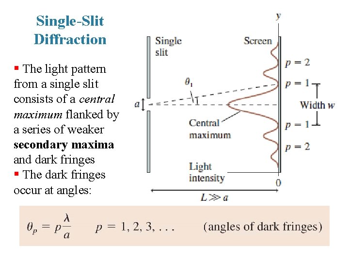 Single-Slit Diffraction § The light pattern from a single slit consists of a central