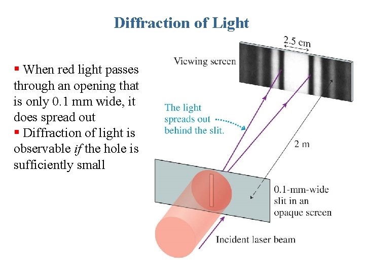 Diffraction of Light § When red light passes through an opening that is only