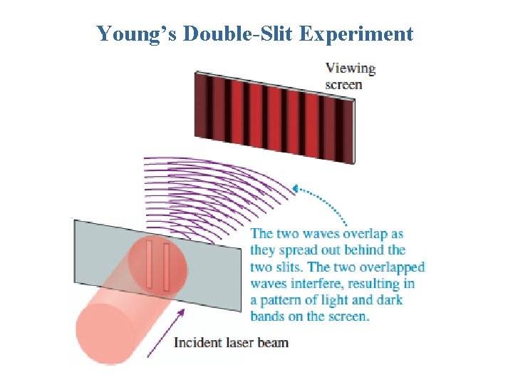 Young’s Double-Slit Experiment 