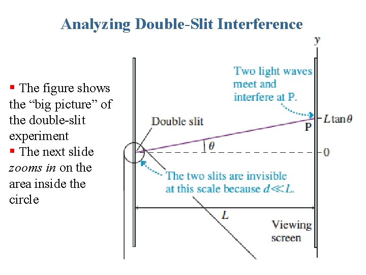 Analyzing Double-Slit Interference § The figure shows the “big picture” of the double-slit experiment