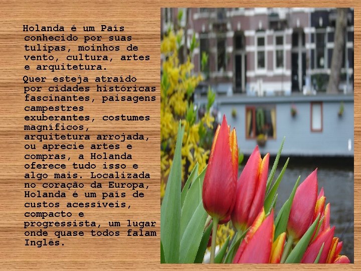 Holanda é um País conhecido por suas tulipas, moinhos de vento, cultura, artes e