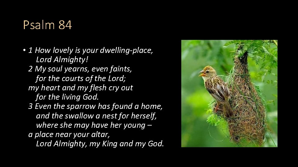 Psalm 84 • 1 How lovely is your dwelling-place, Lord Almighty! 2 My soul