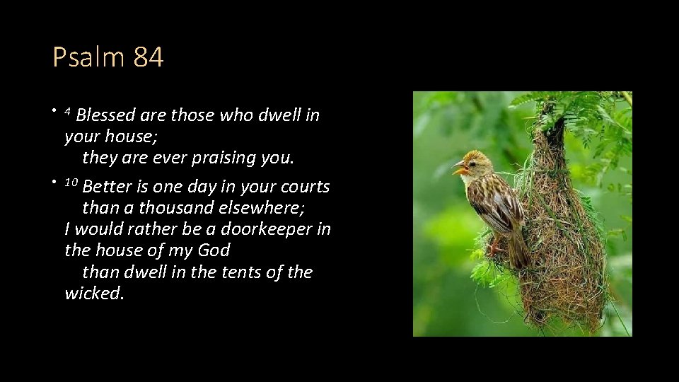 Psalm 84 Blessed are those who dwell in your house; they are ever praising