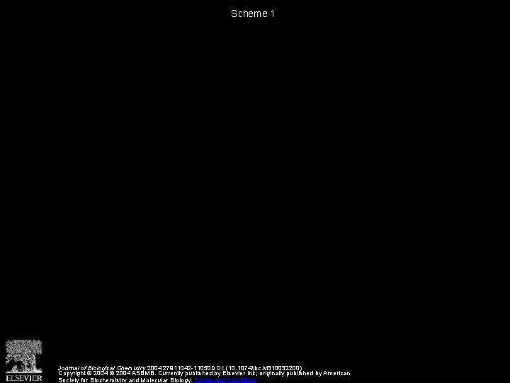 Scheme 1 Journal of Biological Chemistry 2004 27911042 -11050 DOI: (10. 1074/jbc. M 310032200)