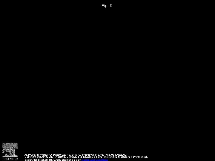 Fig. 5 Journal of Biological Chemistry 2004 27911042 -11050 DOI: (10. 1074/jbc. M 310032200)