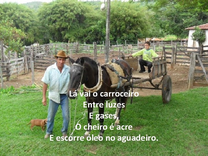 Lá vai o carroceiro Entre luzes E gases, O cheiro é acre E escorre