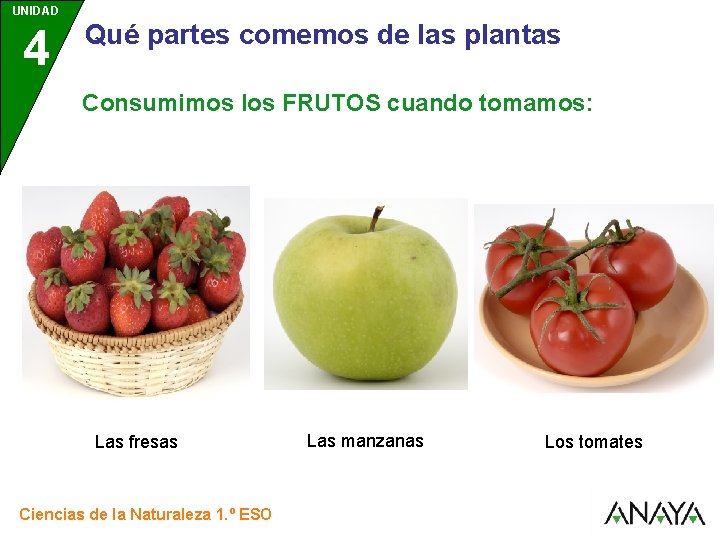 UNIDAD 4 3 Qué partes comemos de las plantas Consumimos los FRUTOS cuando tomamos: