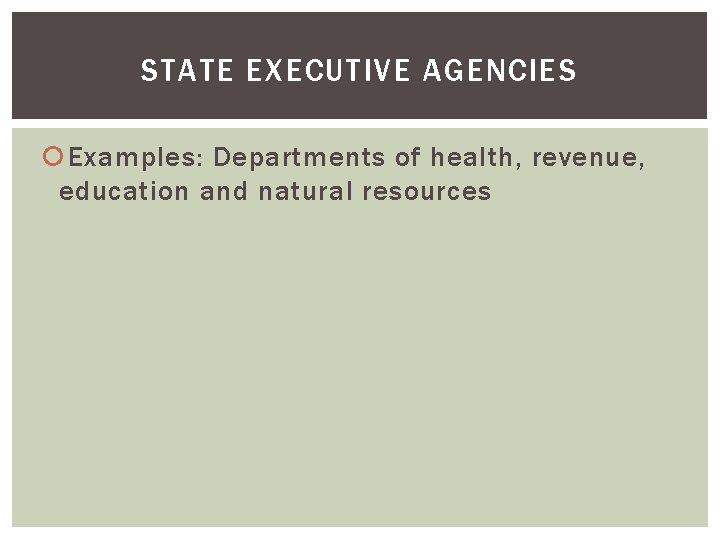 STATE EXECUTIVE AGENCIES Examples: Departments of health, revenue, education and natural resources 