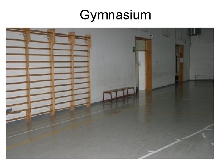 Gymnasium 