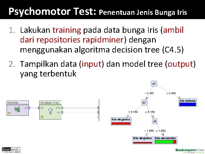 Psychomotor Test: Penentuan Jenis Bunga Iris 1. Lakukan training pada data bunga Iris (ambil