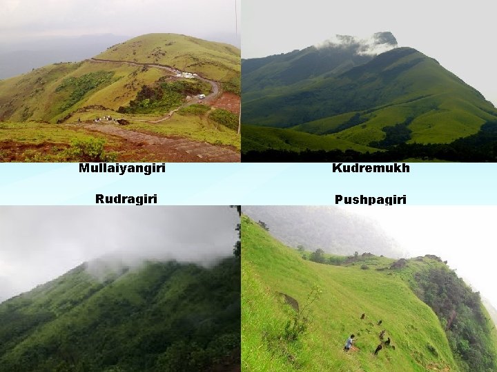 Mullaiyangiri Rudragiri Kudremukh Pushpagiri 