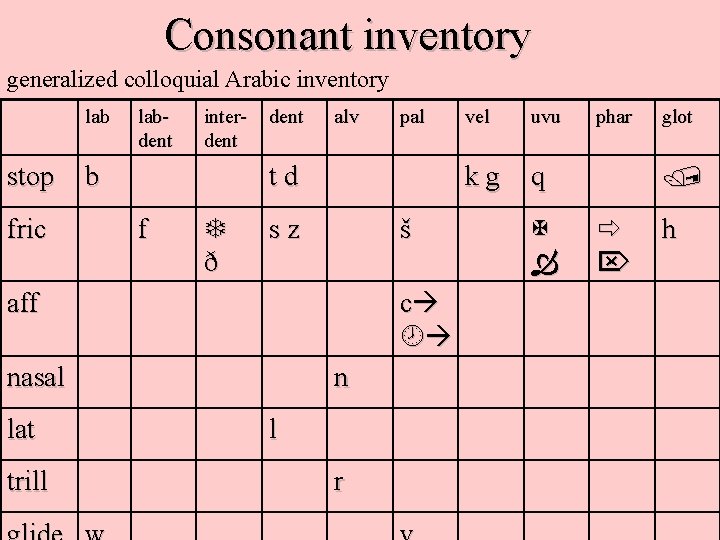 Consonant inventory generalized colloquial Arabic inventory lab stop fric labdent interdent b dent alv