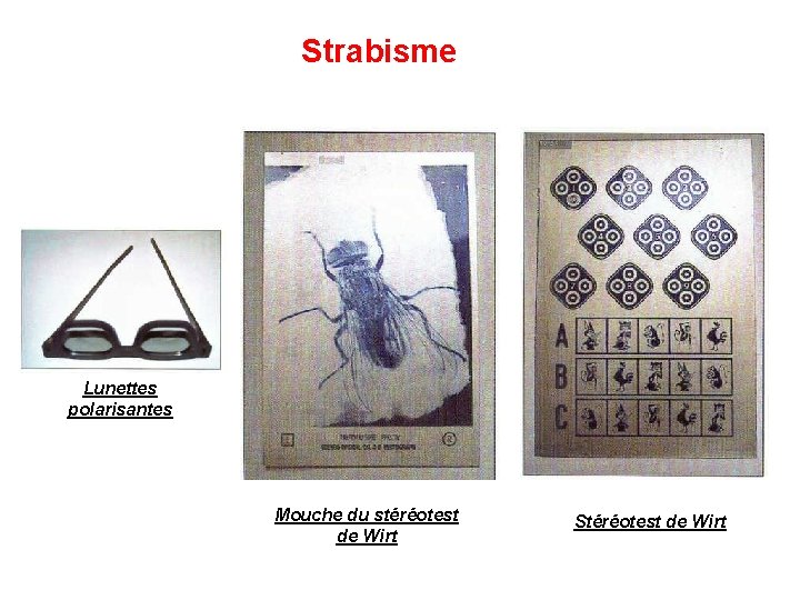 Strabisme Lunettes polarisantes Mouche du stéréotest de Wirt Stéréotest de Wirt 