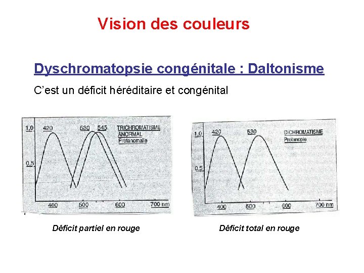 Vision des couleurs Dyschromatopsie congénitale : Daltonisme C’est un déficit héréditaire et congénital Déficit