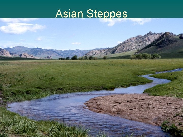 Asian Steppes 