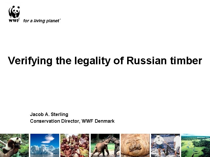 Verifying the legality of Russian timber Jacob A. Sterling Conservation Director, WWF Denmark 