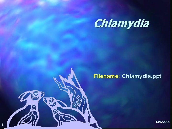 Chlamydia Filename: Chlamydia. ppt 1 1/26/2022 