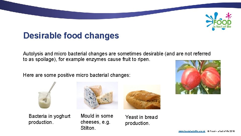 Desirable food changes Autolysis and micro bacterial changes are sometimes desirable (and are not