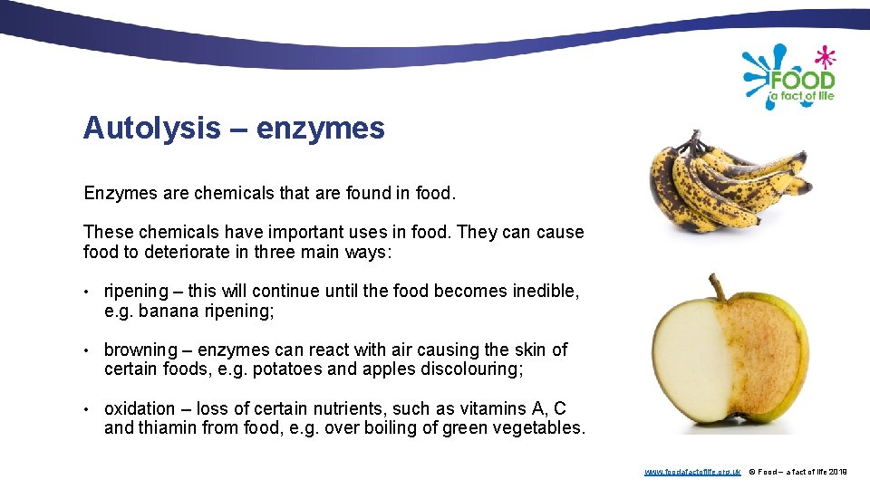 Autolysis – enzymes Enzymes are chemicals that are found in food. These chemicals have