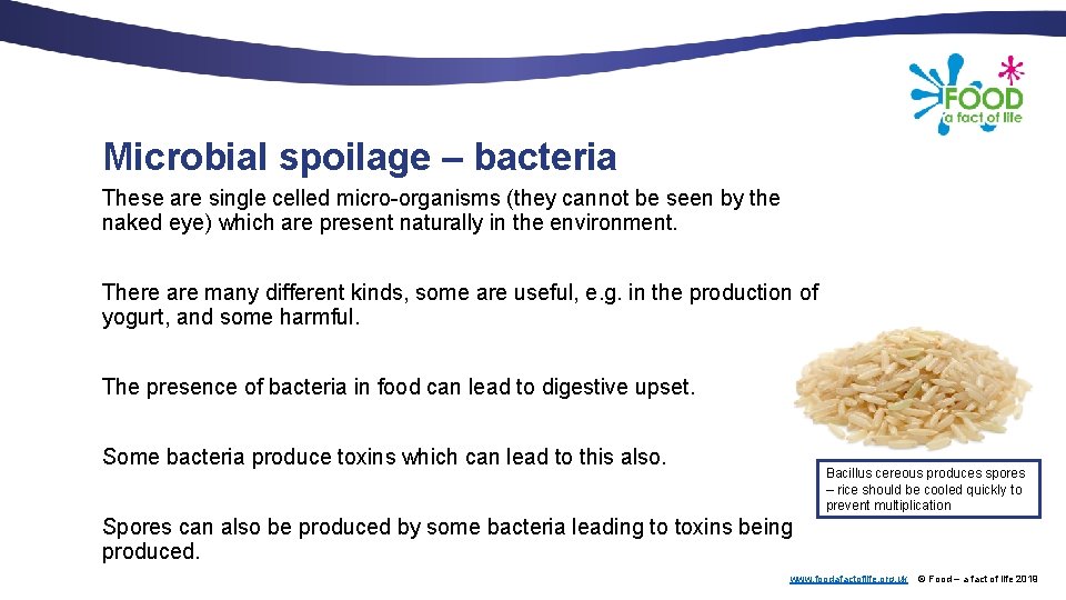 Microbial spoilage – bacteria These are single celled micro-organisms (they cannot be seen by