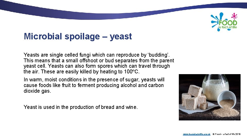 Microbial spoilage – yeast Yeasts are single celled fungi which can reproduce by ‘budding’.