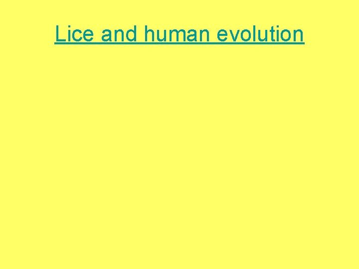 Lice and human evolution 