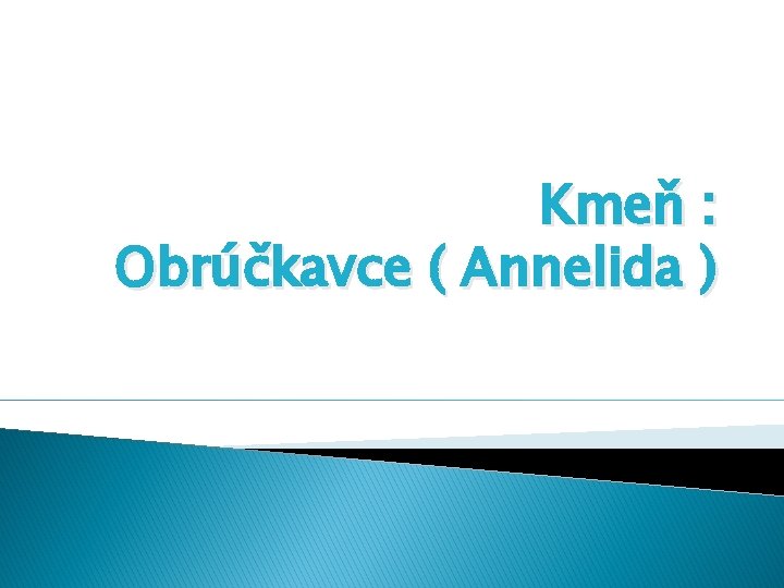 Kmeň : Obrúčkavce ( Annelida ) 