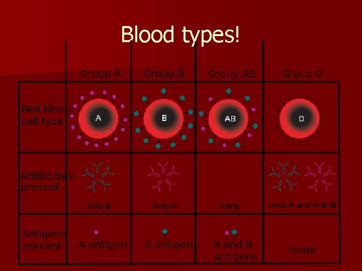 Blood types! 