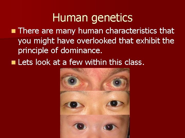 Human genetics n There are many human characteristics that you might have overlooked that